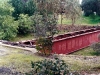 Iwood_011
