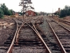 Iwood_013