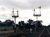 Iwood_014