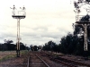 Iwood_015