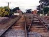 Iwood_016