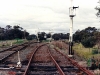 Iwood_017