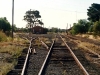 Iwood_020