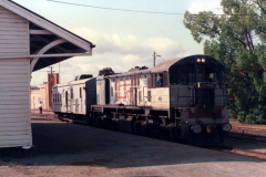Kingaroy