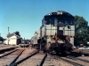 Kingaroy0002