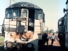Kingaroy0007