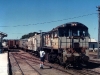Kingaroy0008