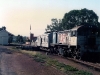 Kingaroy0011