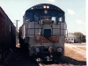 Kingaroy0020