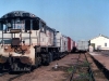 Kingaroy0029