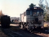 Kingaroy0036