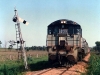 Kingaroy0043 Kingaroy0043