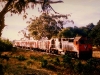 ll45
