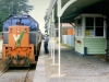 ll51