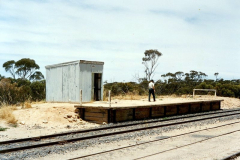 Linga