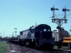 d100