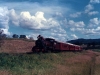 2_Kadanga_005