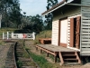 3_Dagan_012