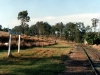 4_LagoonPkt_013