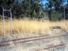 image006_0