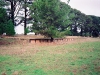 fernbank-goods-platform-30th-june-1990-mike-forsberg