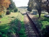 musk-looking-towards-daylesford-10th-june-1990-mike-forsberg