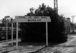 mungar