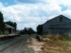 Moama_004
