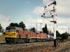 mv06