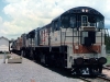 Mulg_004