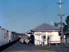 Mundub_001