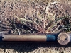 Mundub_003