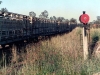 Mundub_004
