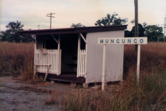 Mungungo