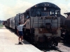 Murgon_0001