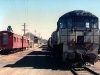 Murgon_0005