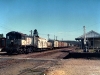 Murgon_0018