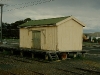 ng10
