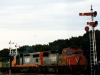 Notch_C501tot