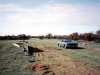morkalla_site_1992