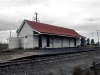 36231