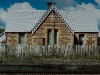 ng31