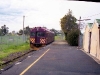 nyora-2003-29-4-brian-fletcher