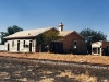 Raywood_002