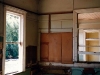 Raywood_006