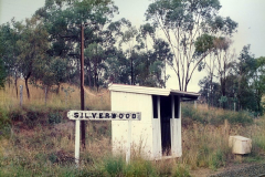 Silverwood