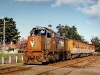 sm19