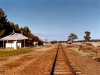 sh06