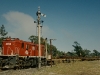 tg08