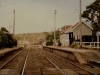 tg13